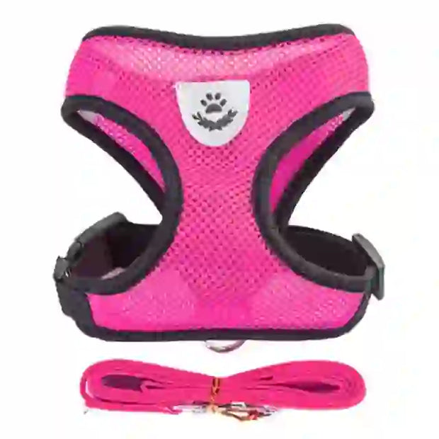 medium pet accessories company
