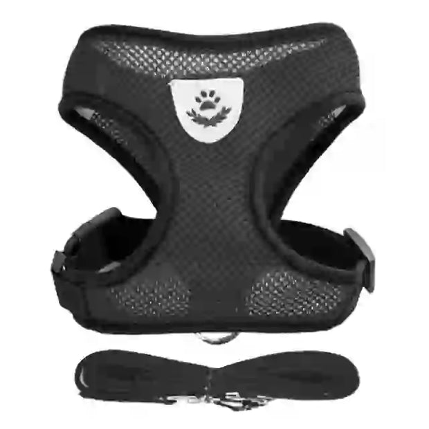 medium pet accessories company
