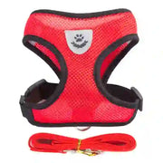 medium pet accessories company
