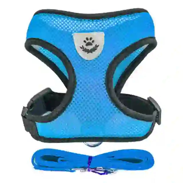 medium pet accessories company
