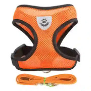 medium pet accessories company

