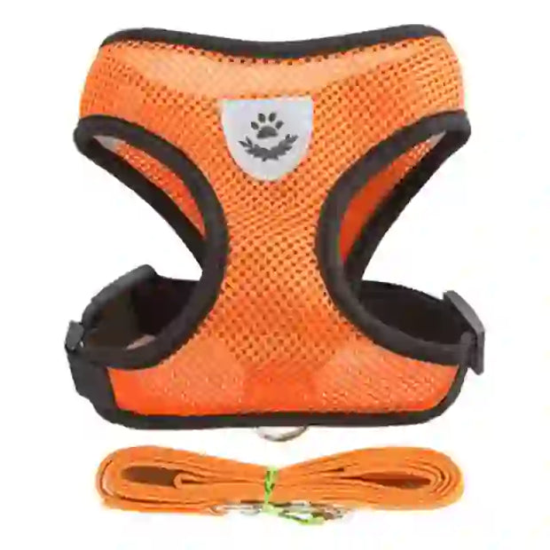 medium pet accessories company
