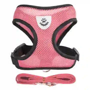 medium pet accessories company
