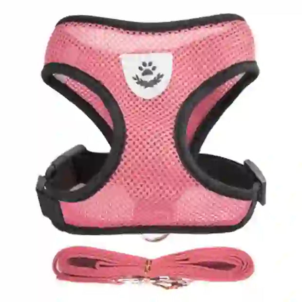 medium pet accessories company
