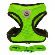 medium pet accessories company
