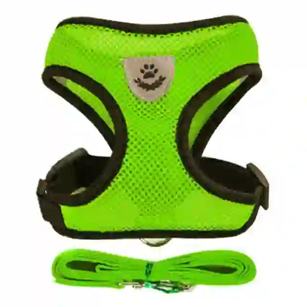 medium pet accessories company

