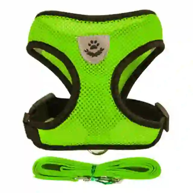 medium pet accessories company
