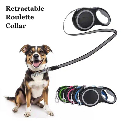 best rope leash for large dogs
