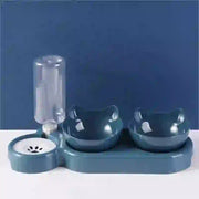 automatic feeder in aquaculture
