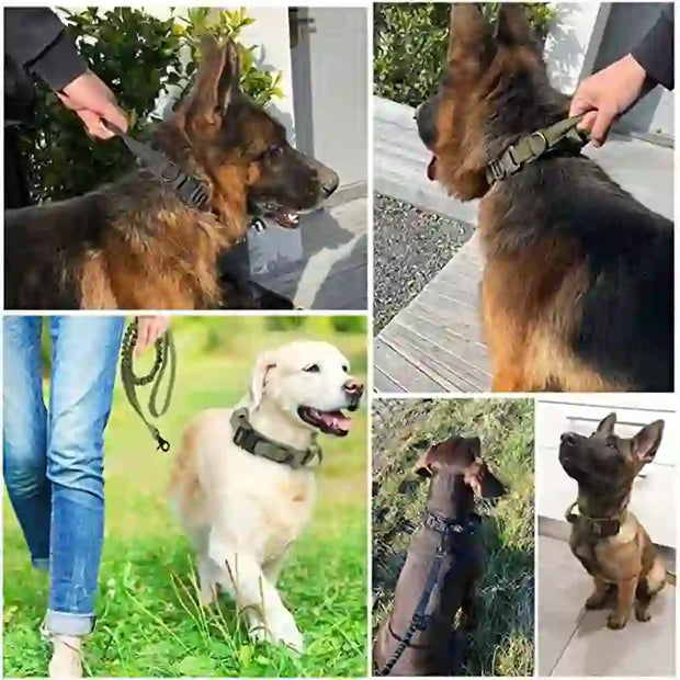 durable tactical dog collar leash set smart