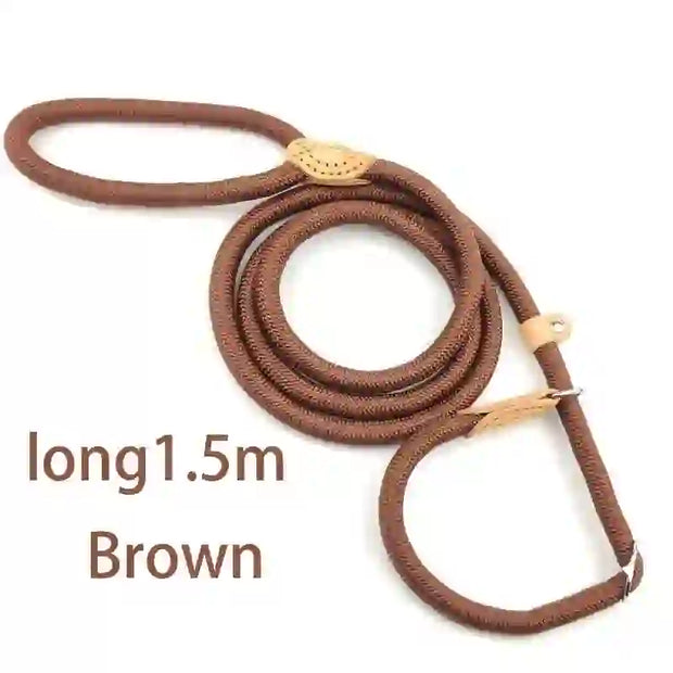 dog accessories cat collar and lead
