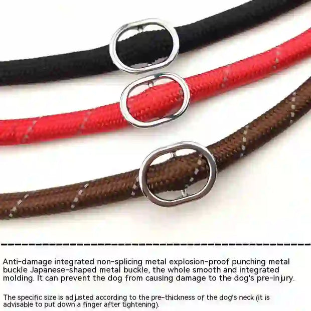dog accessories cat collar and lead
