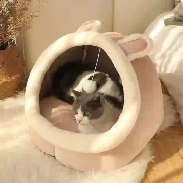 foldable cat cave bed and mattress
