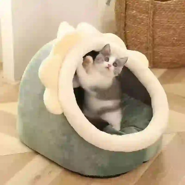 foldable cat cave bed and mattress
