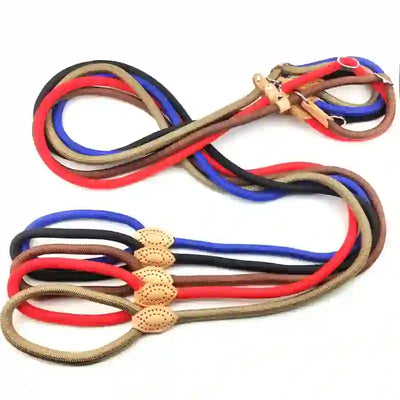 dog accessories cat collar and lead
