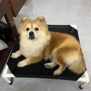 portable elevated pet camping bed and mattress
