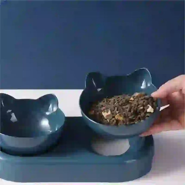 automatic feeder in aquaculture
