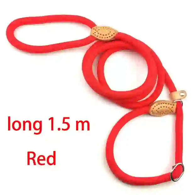 dog accessories cat collar and lead
