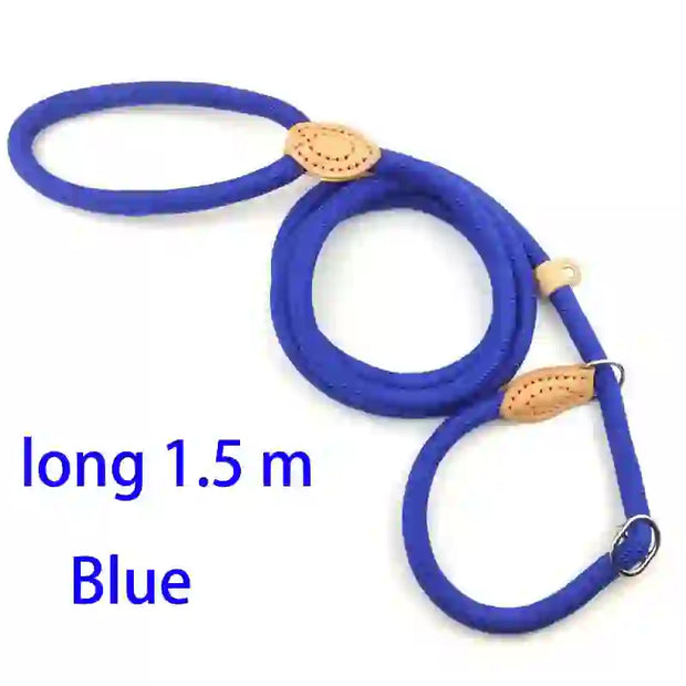 dog accessories cat collar and lead
