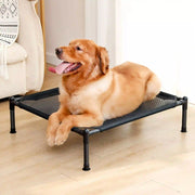 best foldable elevated dog bed