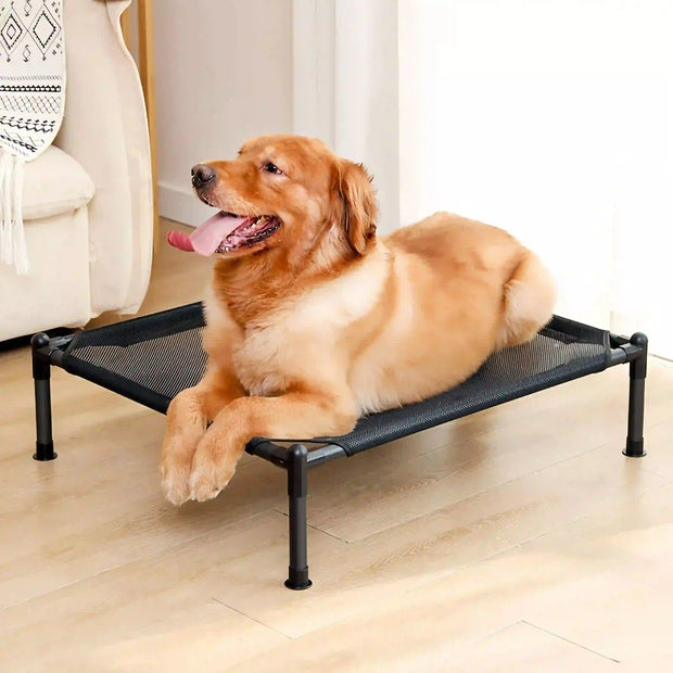 best foldable elevated dog bed