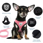 medium pet accessories company
