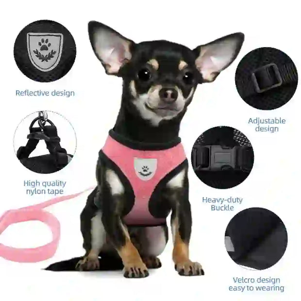 medium pet accessories company
