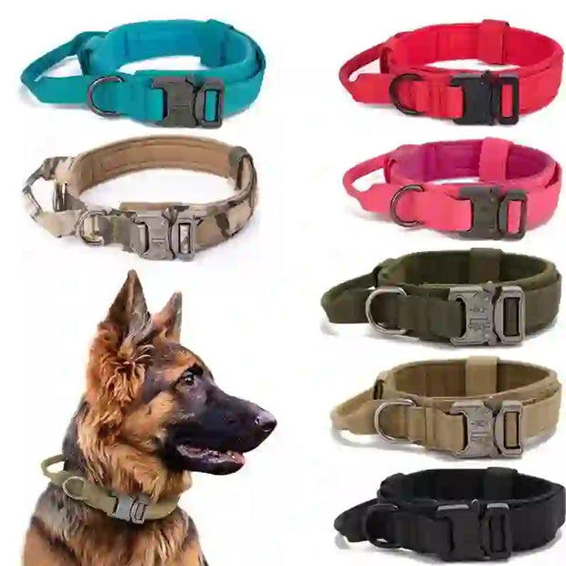 durable tactical dog collar leash set smart