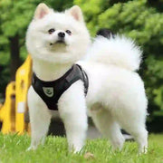 adjustable mesh dog harness & leash medium
