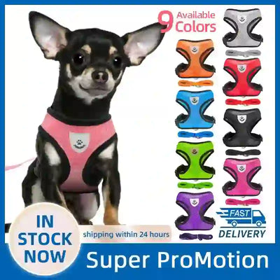 medium pet accessories company
