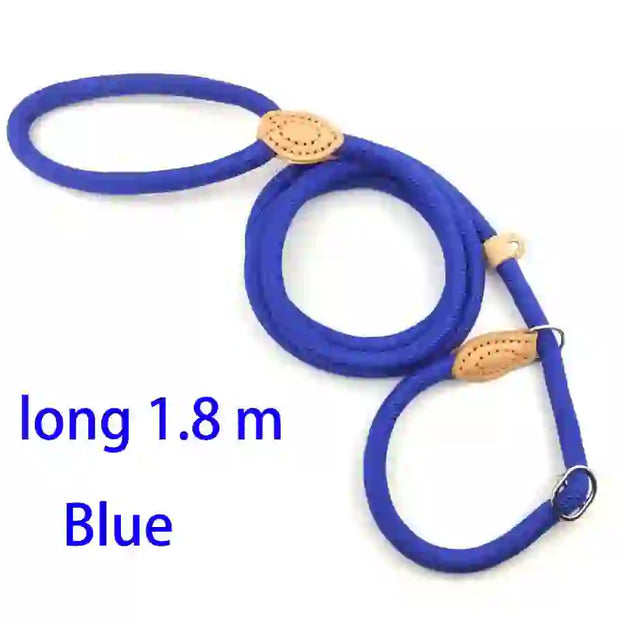 dog accessories cat collar and lead
