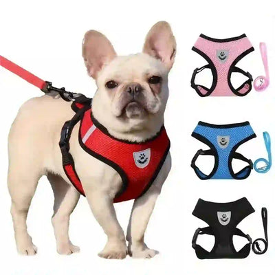 adjustable mesh dog harness & leash medium
