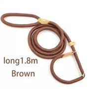 dog accessories cat collar and lead
