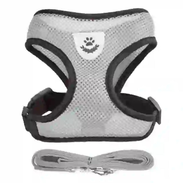 medium pet accessories company
