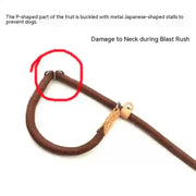 dog accessories cat collar and lead
