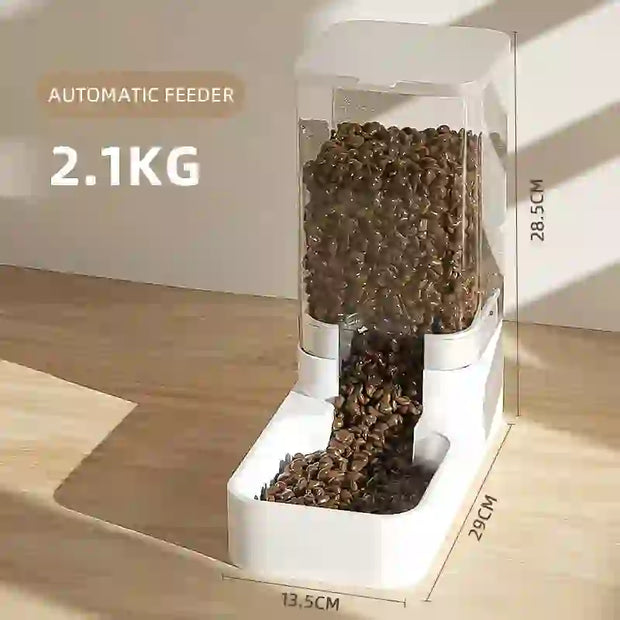transparent automatic feeder dispenser
