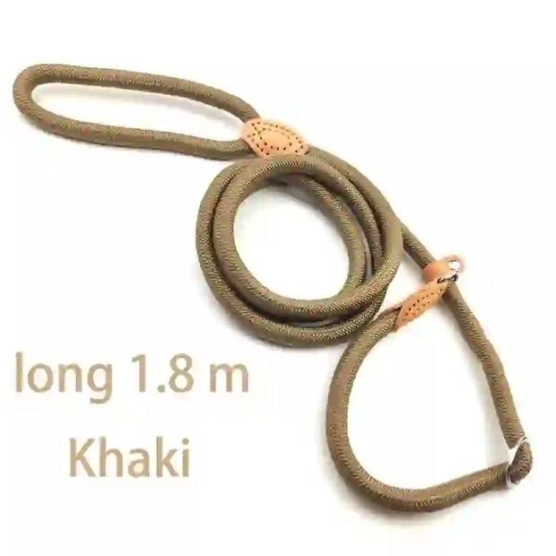 dog accessories cat collar and lead
