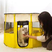 foldable pet tent bed
