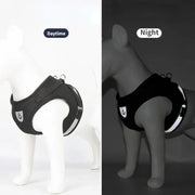 adjustable mesh dog harness & leash medium
