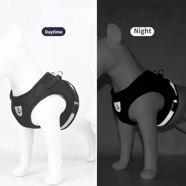 adjustable mesh dog harness & leash medium
