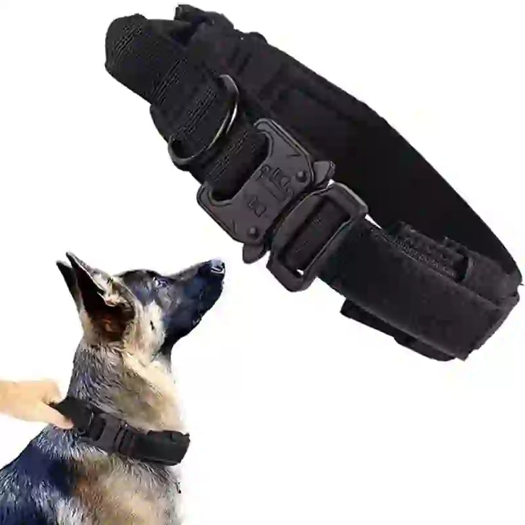 durable tactical dog collar leash set smart