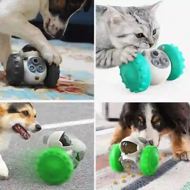 food dispenser puzzle feeder for dogs cats
