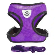 medium pet accessories company
