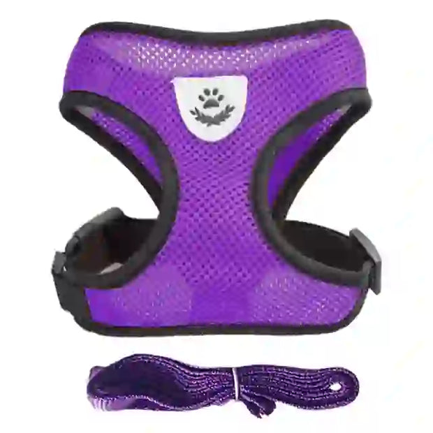 medium pet accessories company

