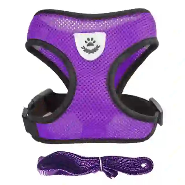 medium pet accessories company

