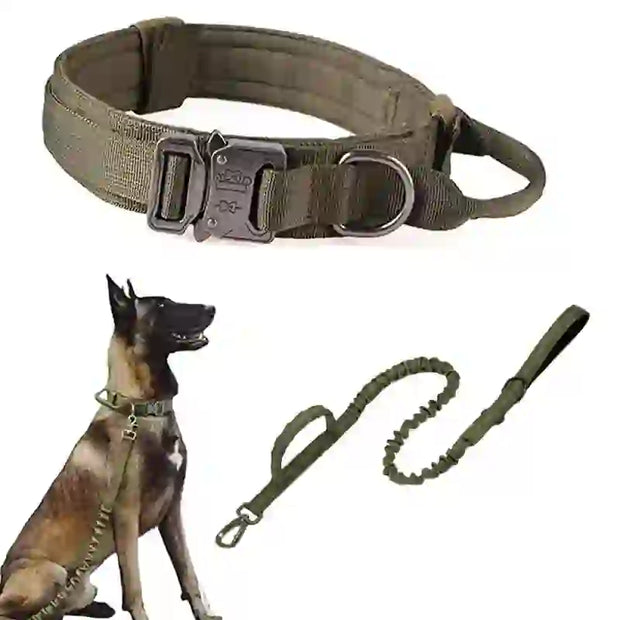 durable tactical dog collar leash set smart