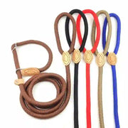 dog accessories cat collar and lead
