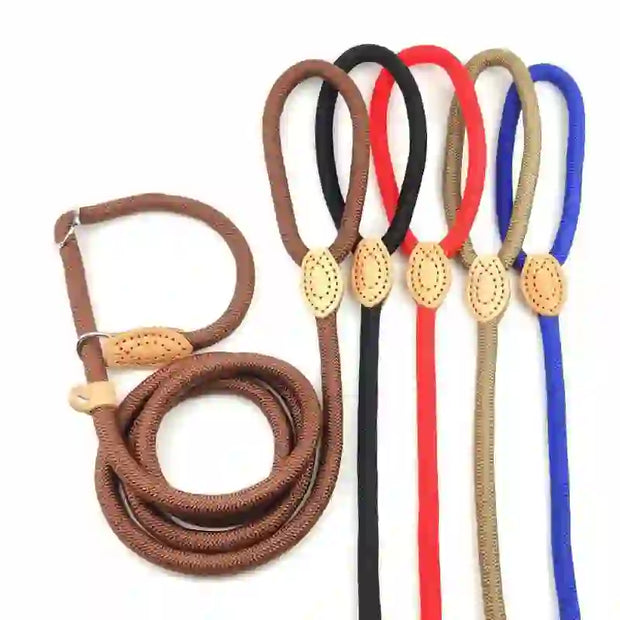dog accessories cat collar and lead
