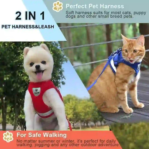adjustable mesh dog harness & leash medium
