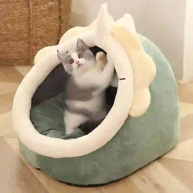 foldable cat cave bed and mattress
